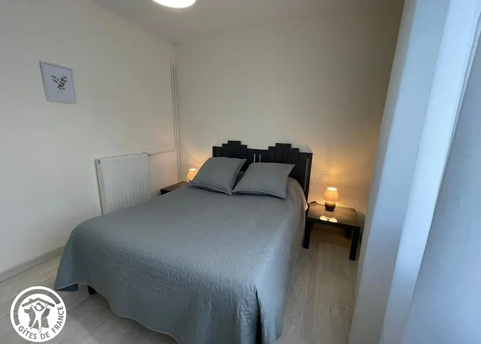 Entre Et Campagne, Proche Sables D'olonne - Fr-1-426-564 * Vairé