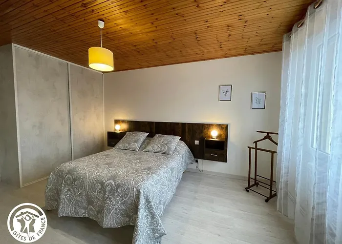 Entre Et Campagne, Proche Sables D'olonne - Fr-1-426-564 *